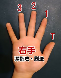 吉他譜 右手 代號