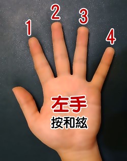 吉他譜 左手 代號